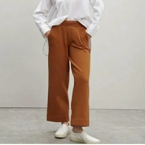 Everlane Wide Leg, Pull On Sweatpants in Burnt Orange